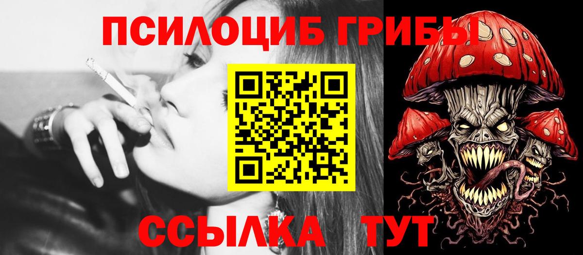 Галлюциногенные грибы мицелий Осинники