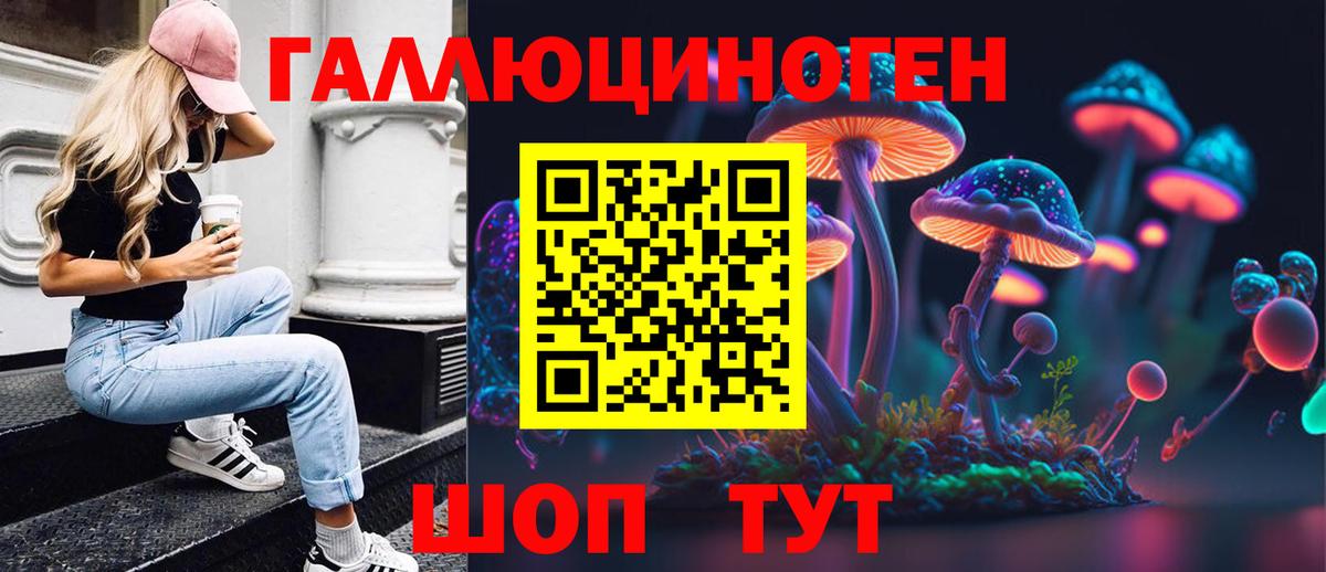 Галлюциногенные грибы GOLDEN TEACHER  Вход с VPN  Псилоцибиновые грибы прущие грибы  Осинники 